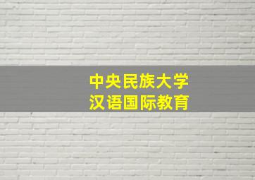 中央民族大学 汉语国际教育